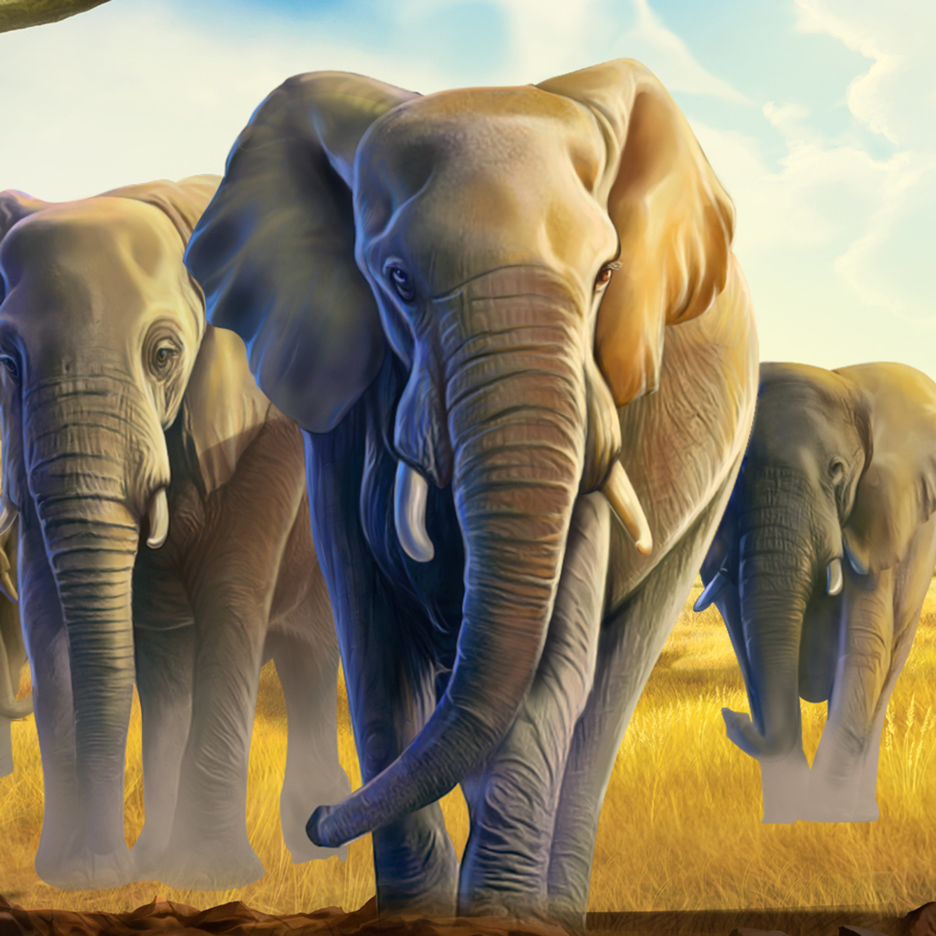 African Elephant