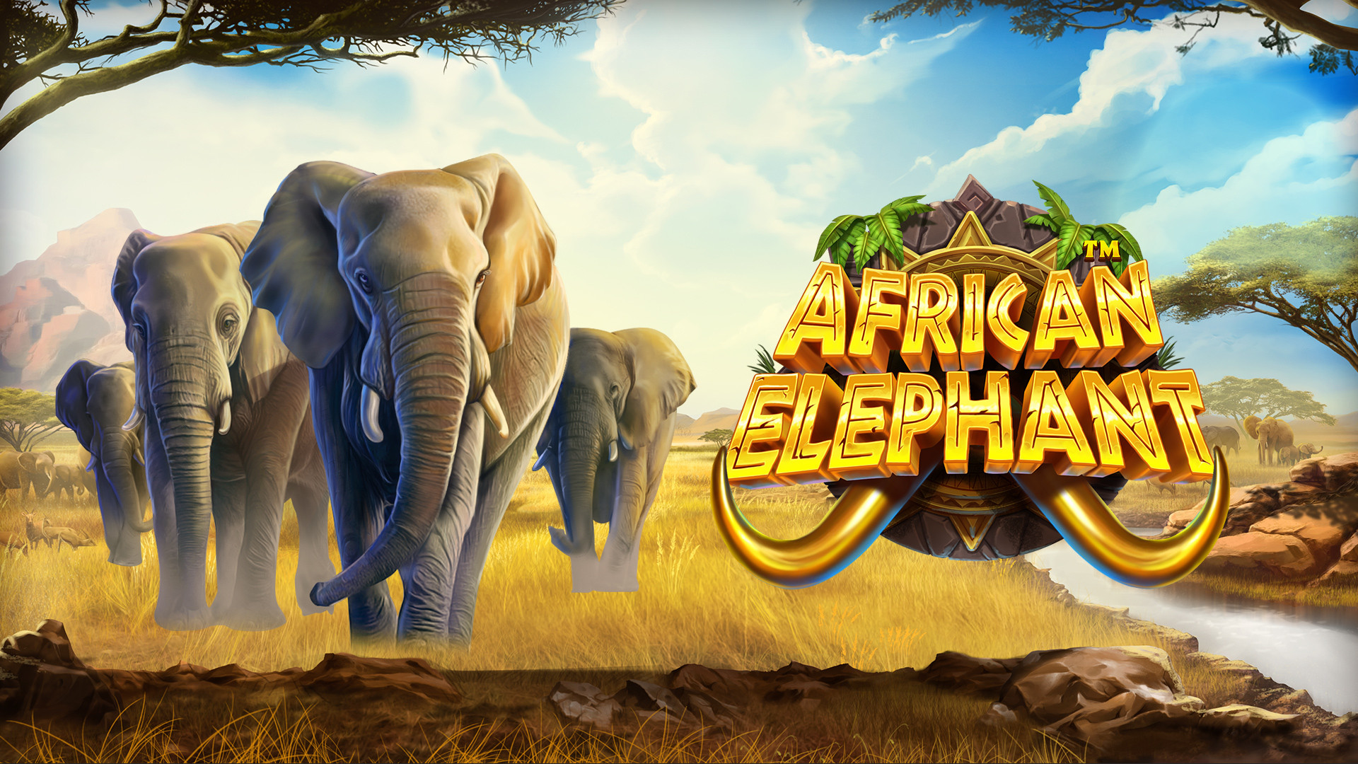 African Elephant
