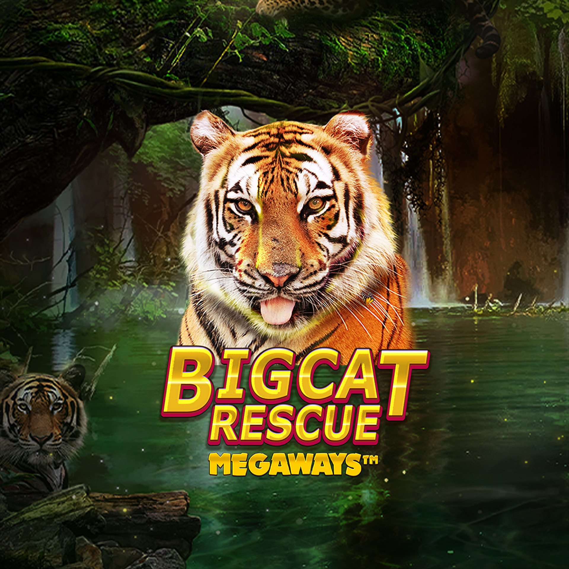 Big Cat Rescue MEGAWAYS