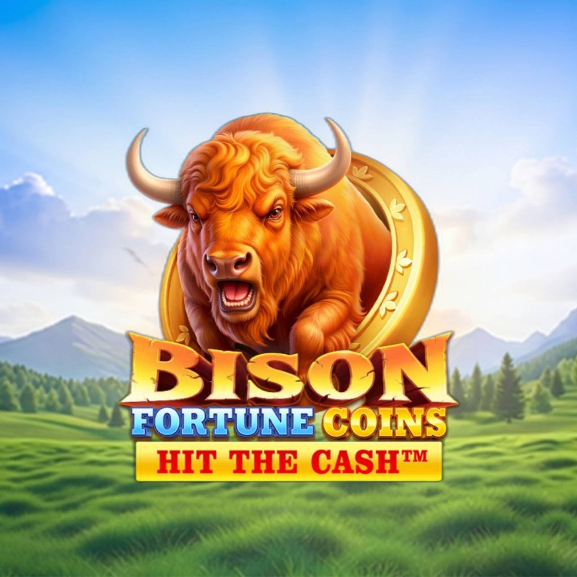Bison Fortune Coins