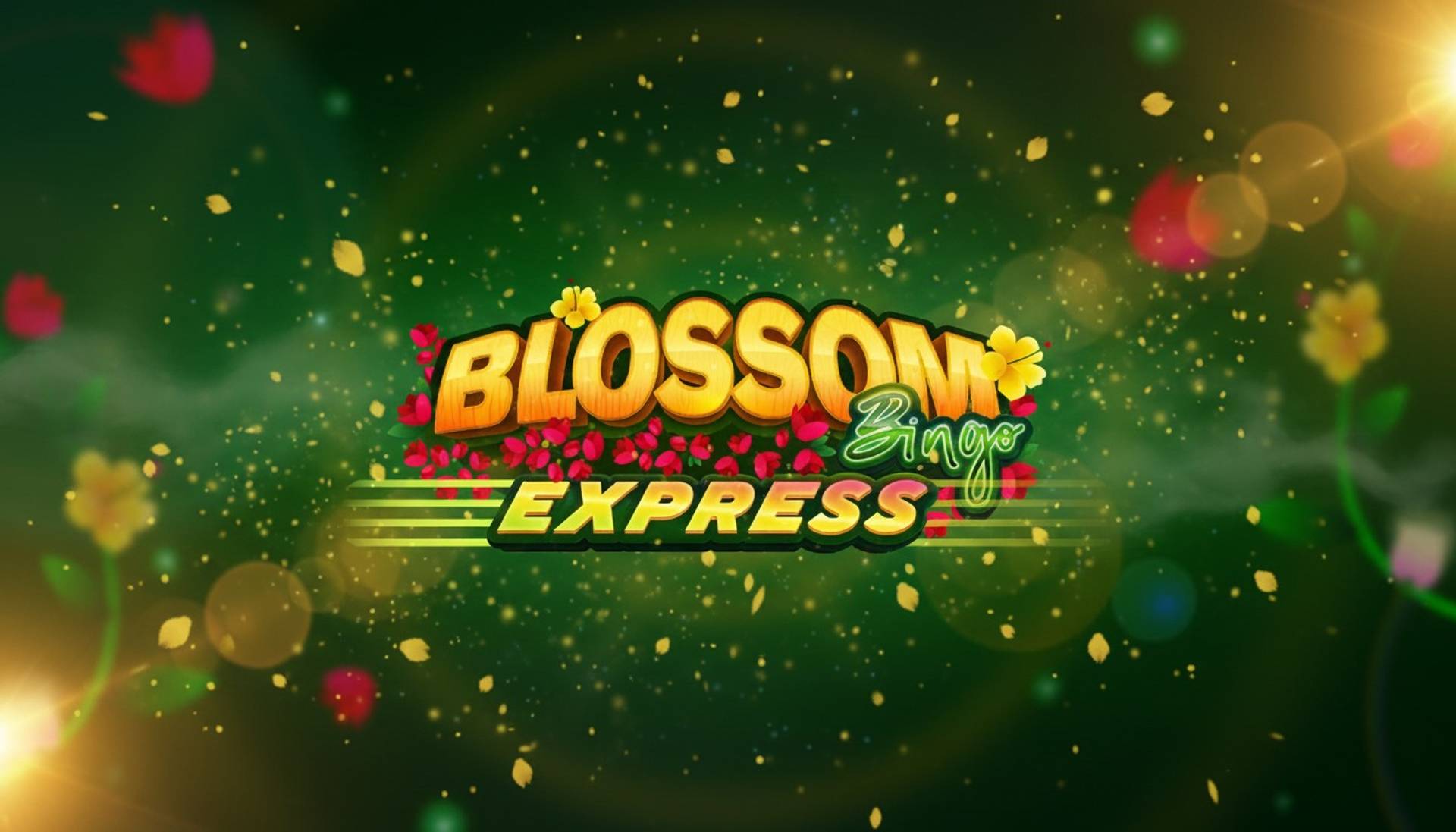 Blossom Bingo Express