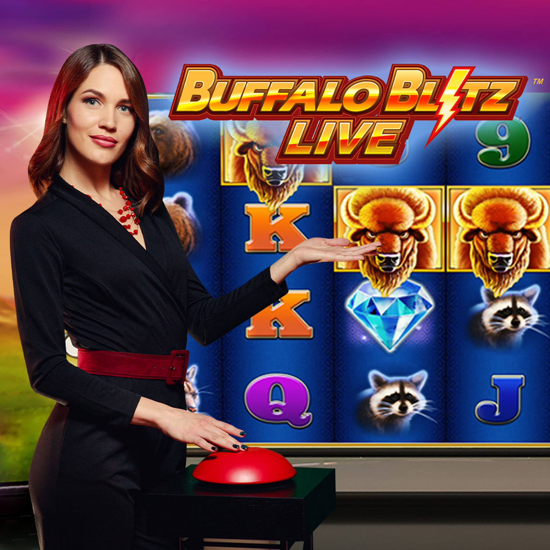 Buffalo Blitz Live