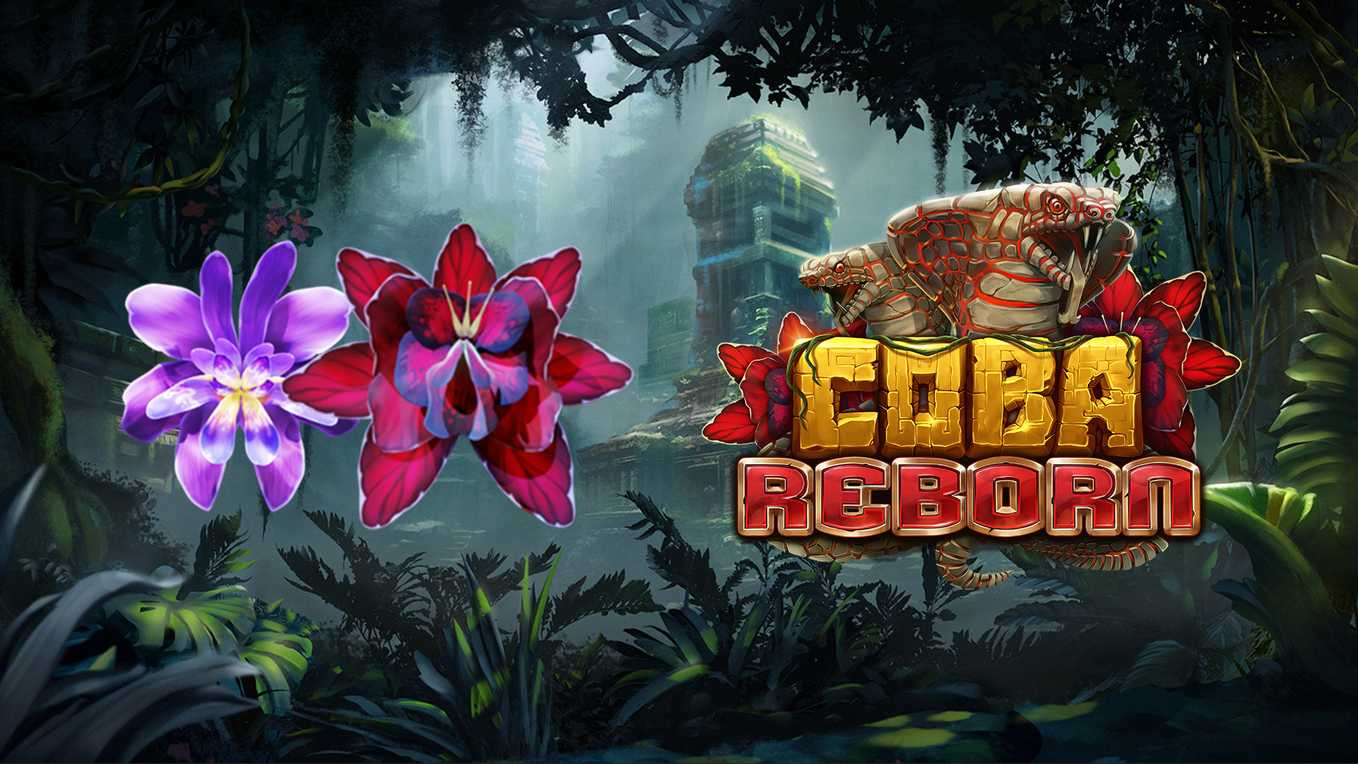 Coba Reborn