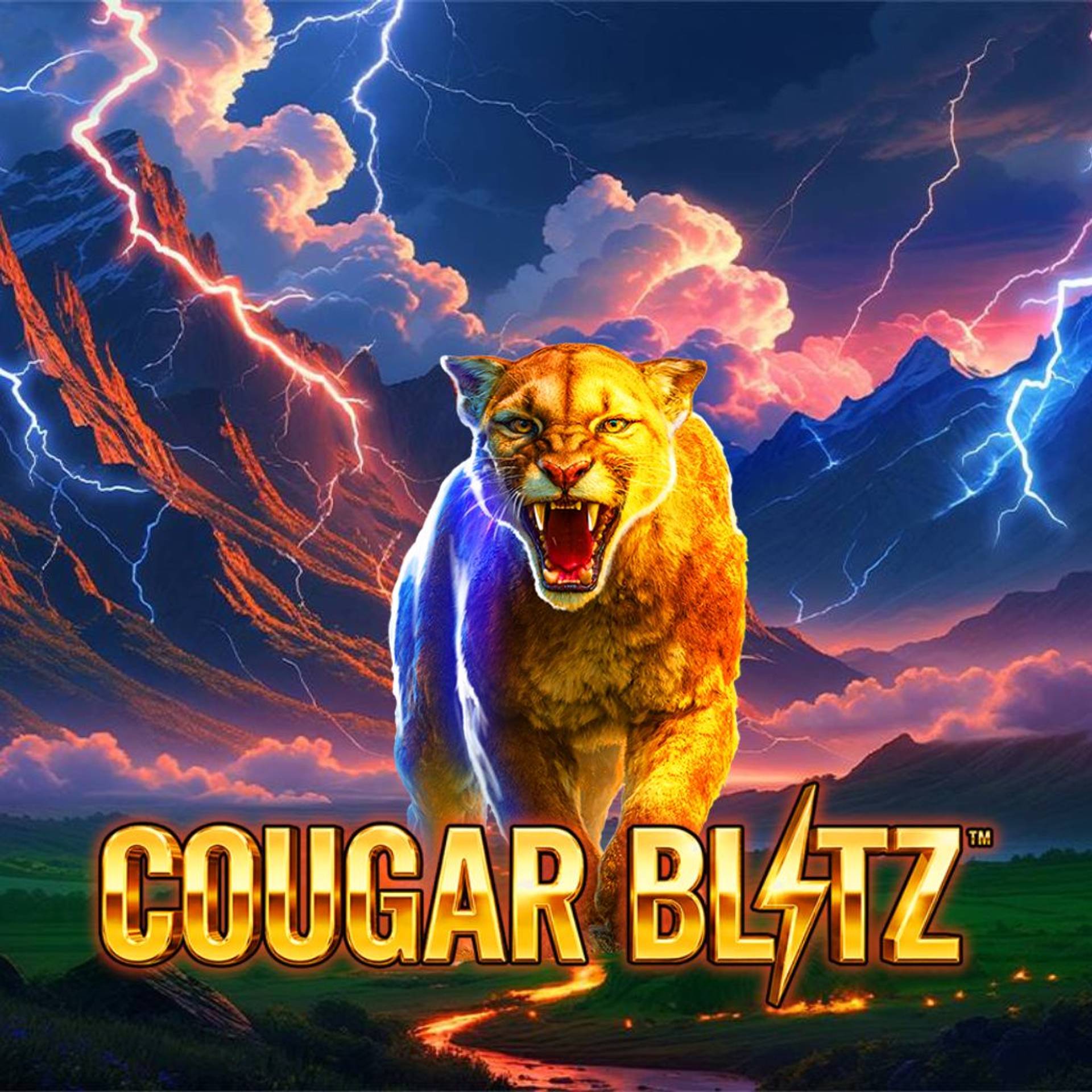 Cougar Blitz