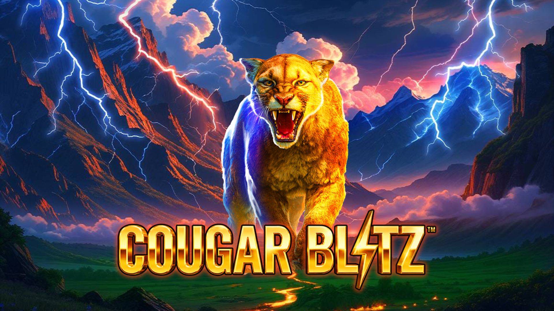 Cougar Blitz