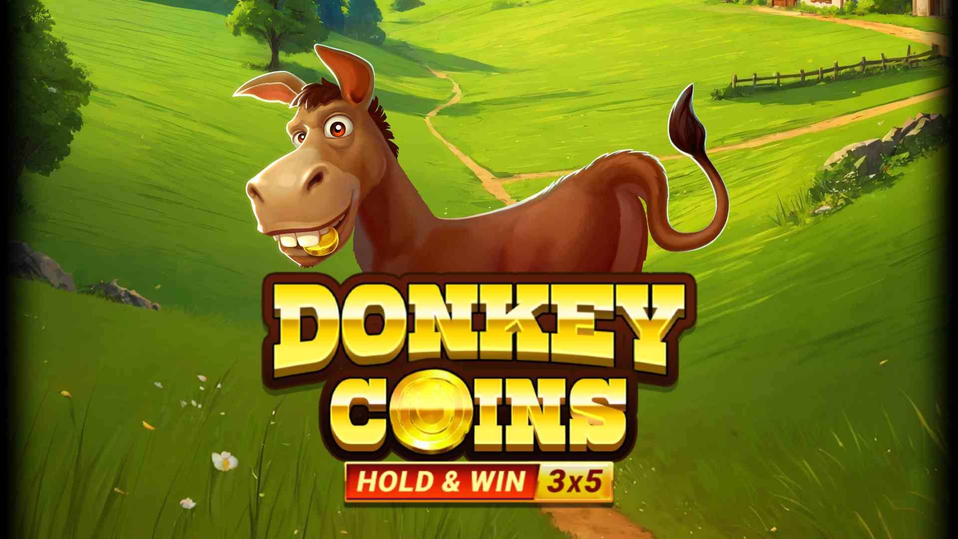 Donkey Coins Hold & Win