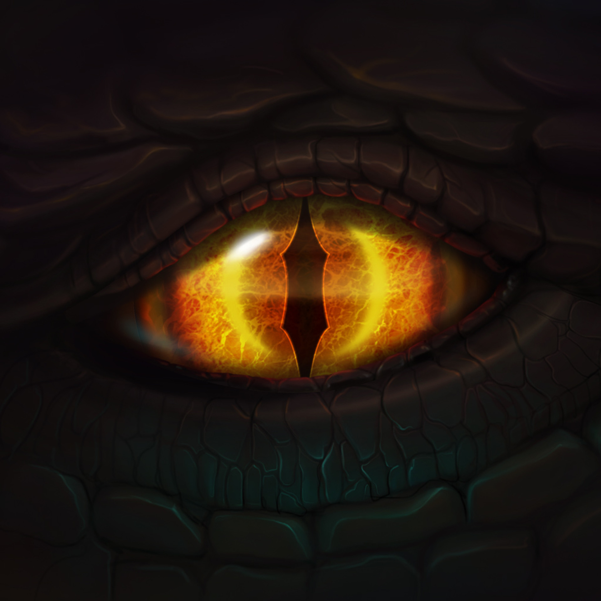 Dragon's Fire