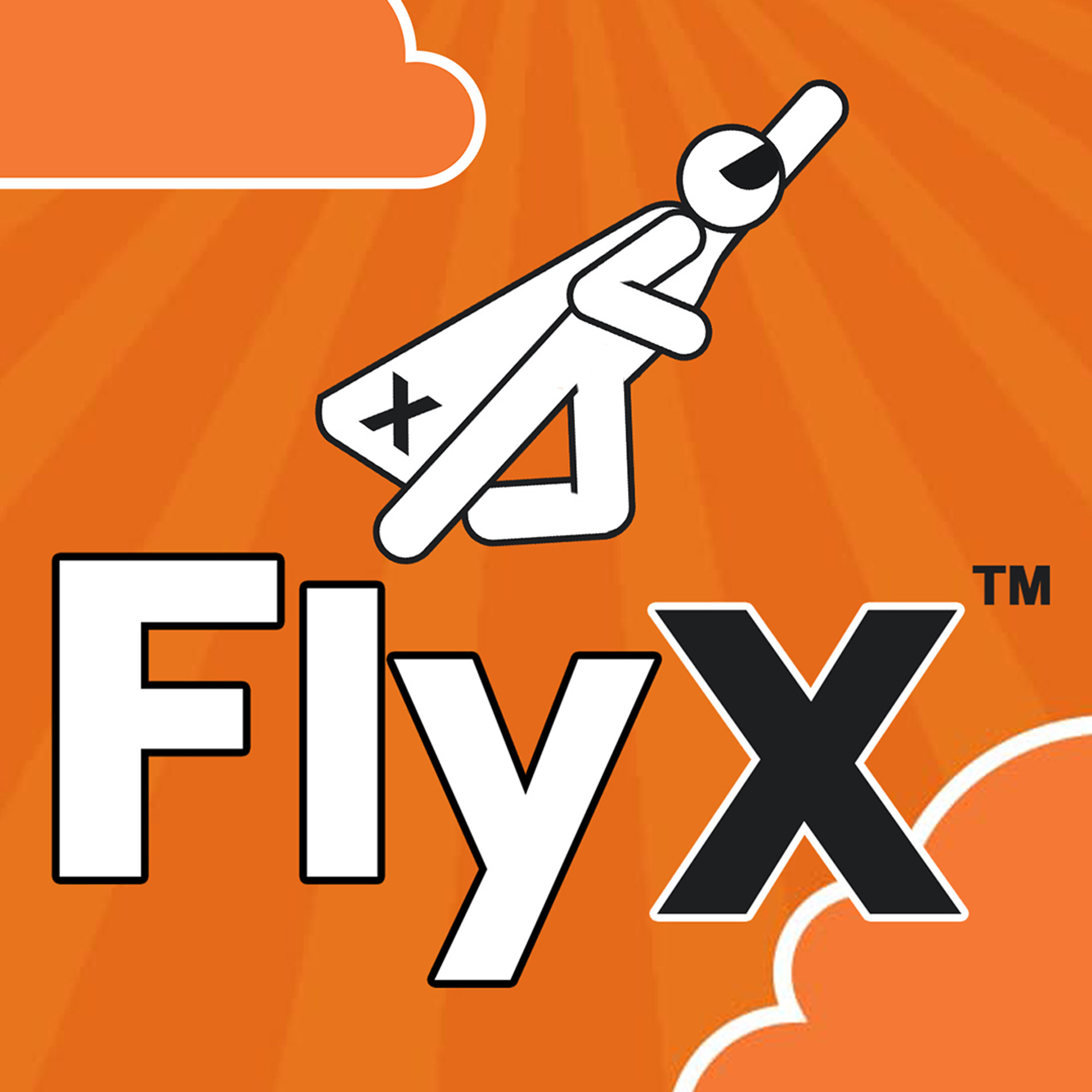 FlyX