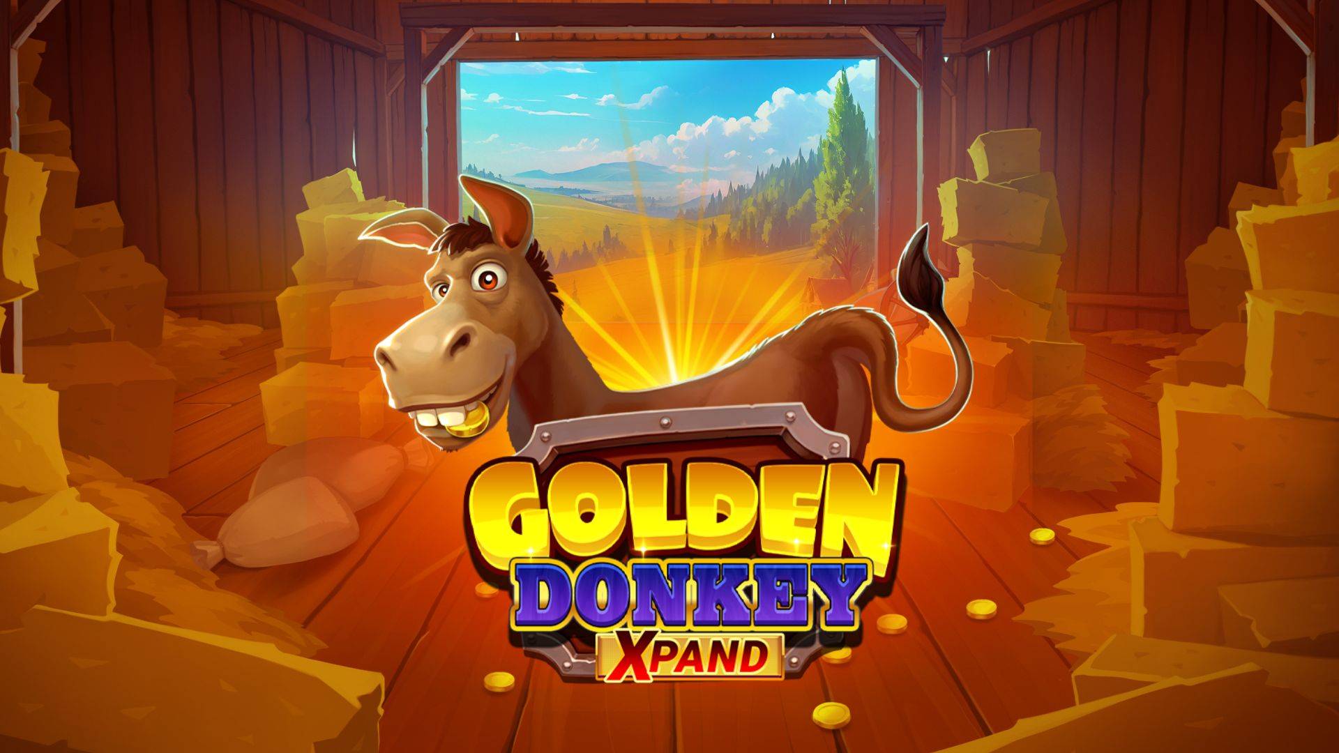 Golden Donkey Xpand
