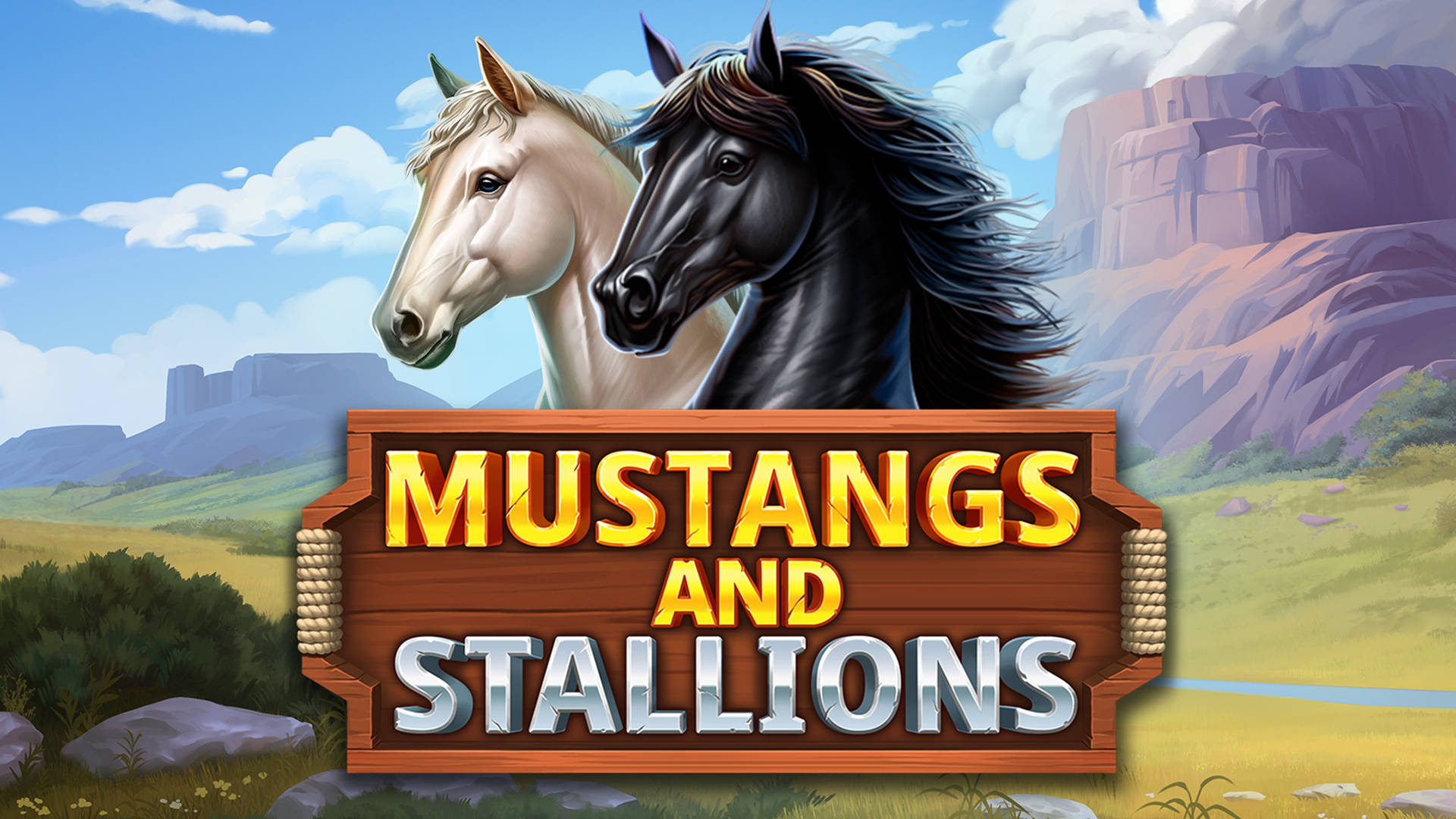 Mustangs and Stallions