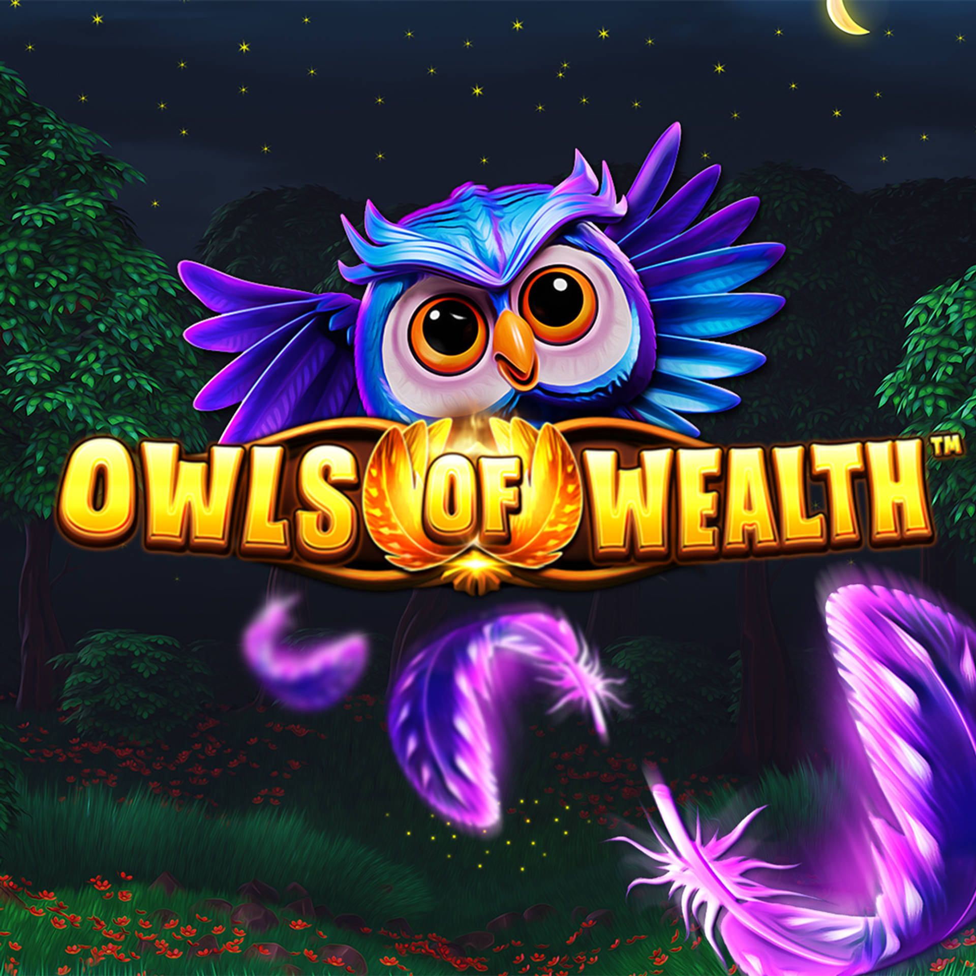 Owls of Wealth