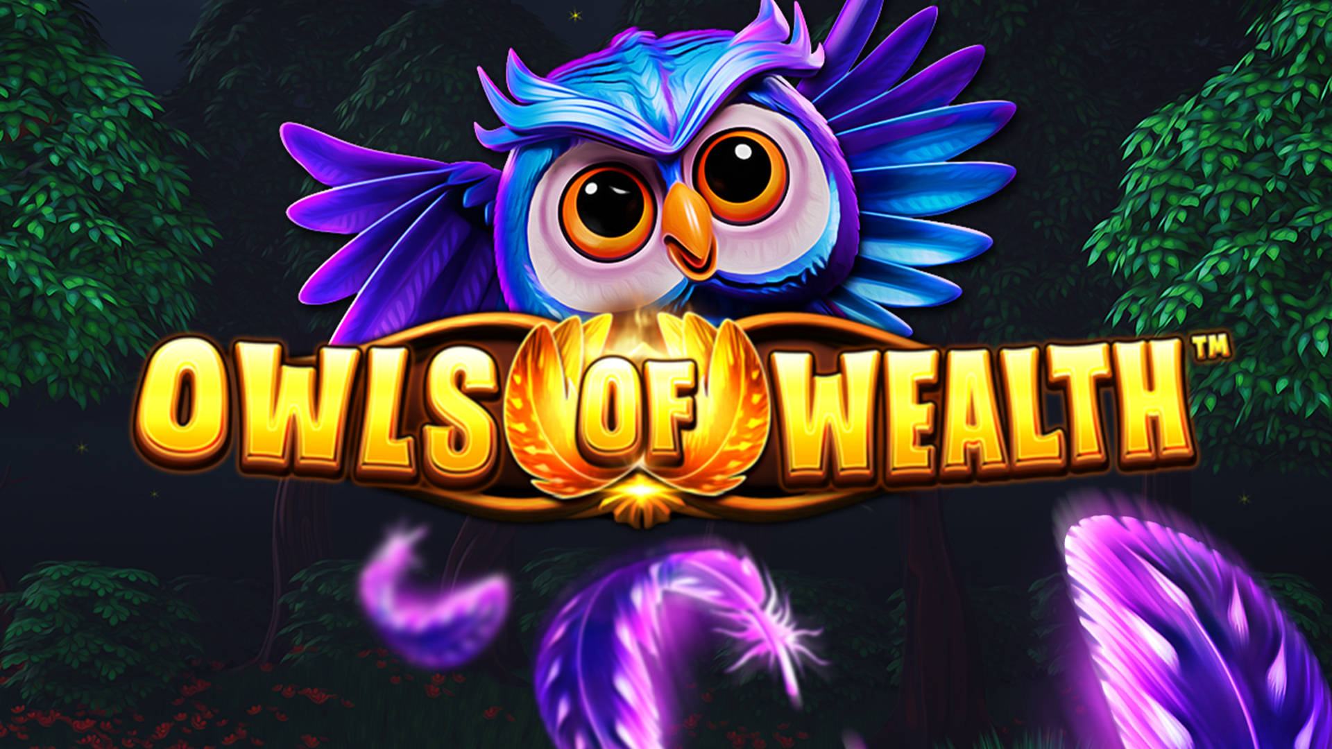Owls of Wealth