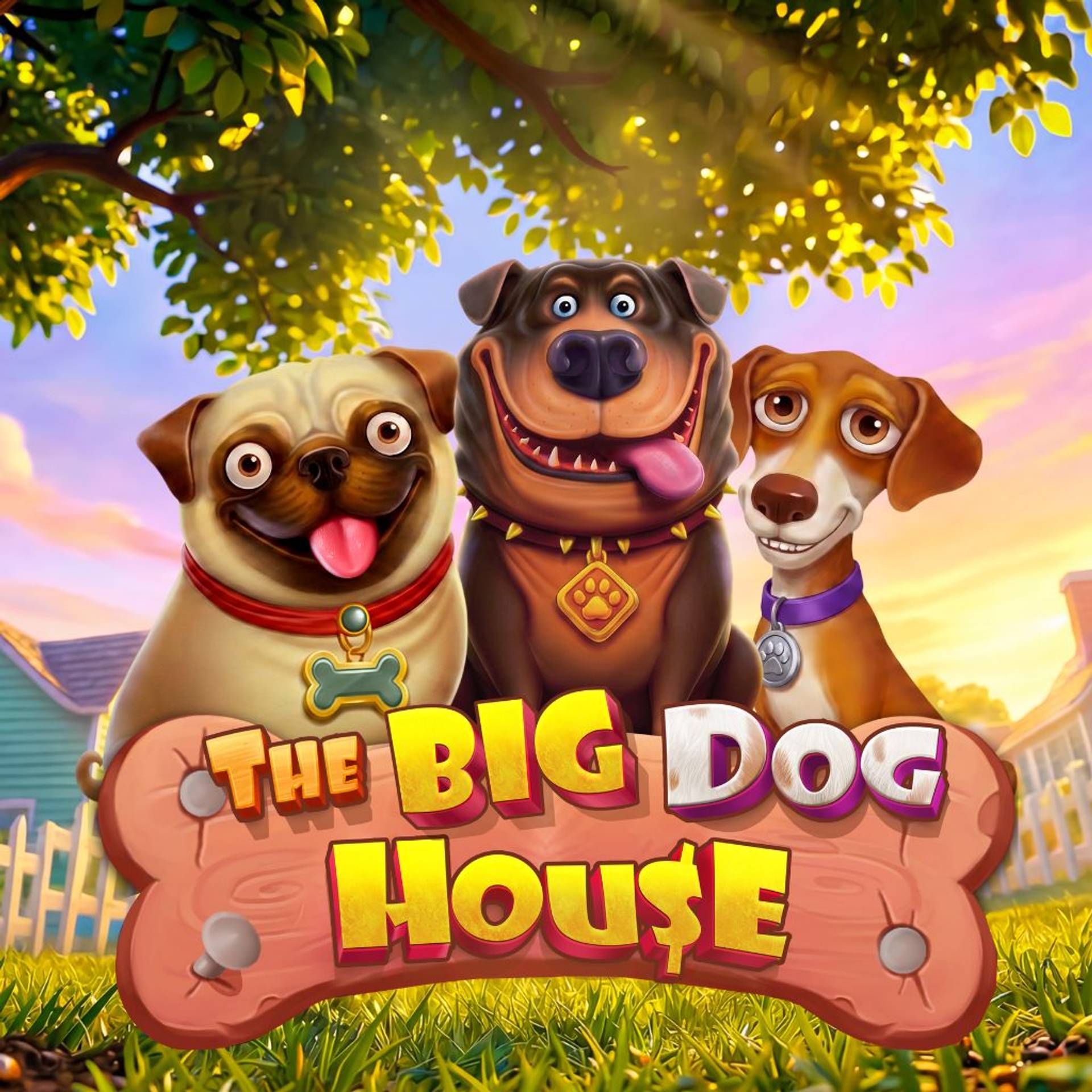 The Big Dog House