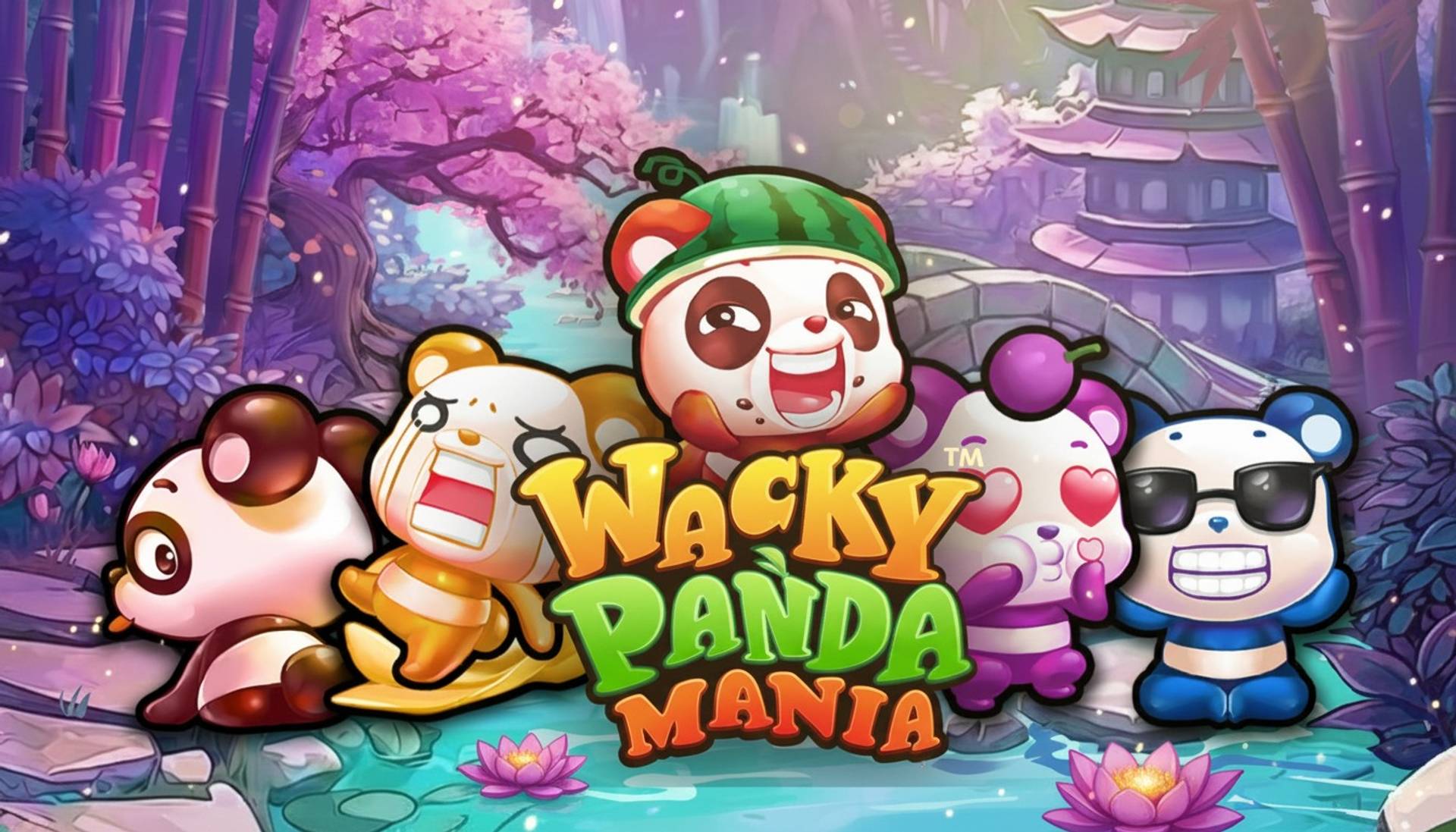 Wacky Panda Mania