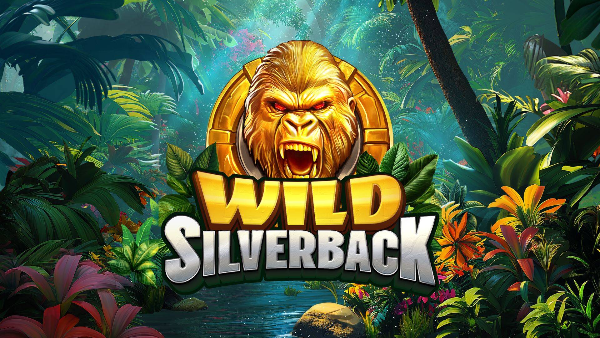 Wild Silverback