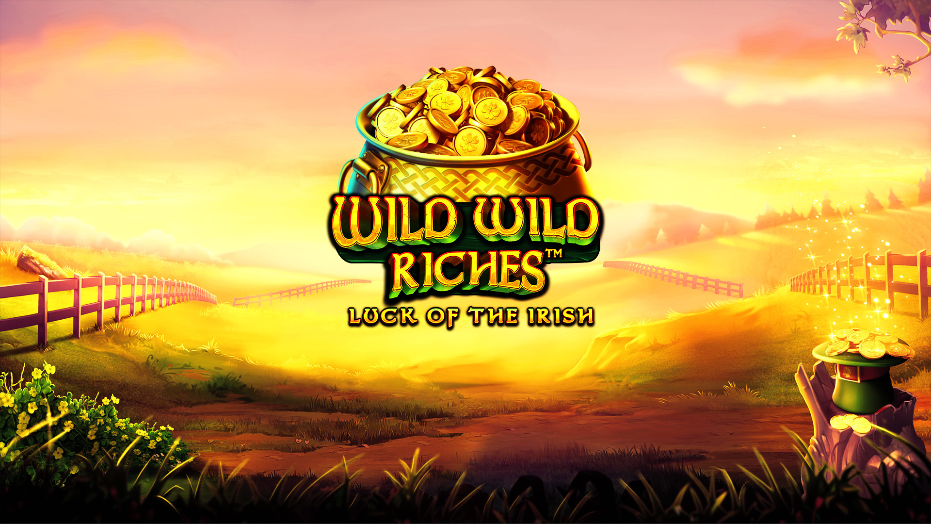 Wild Wild Riches